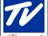 tvdirect-tv-logo